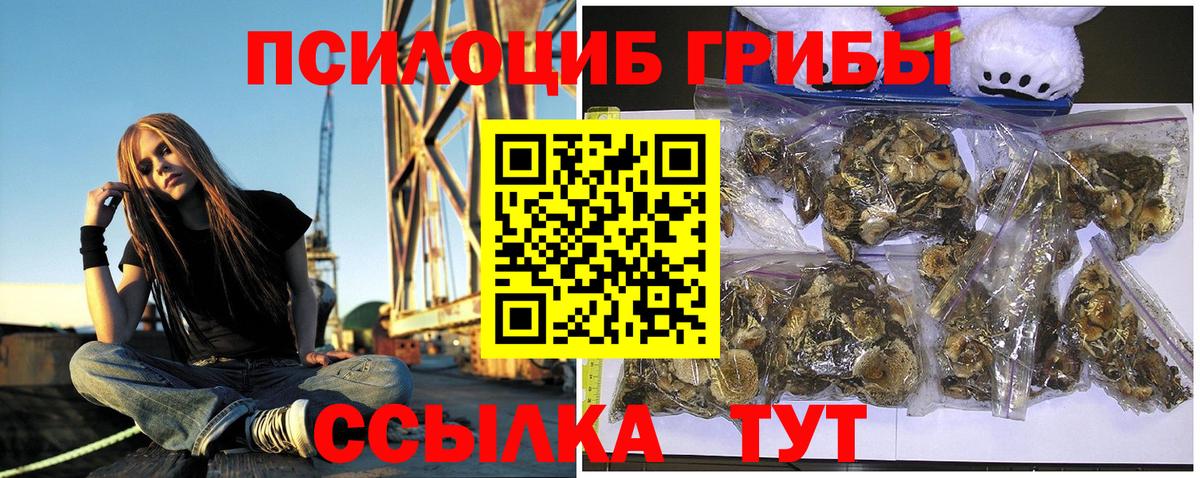 Псилоцибиновые грибы прущие грибы Самара