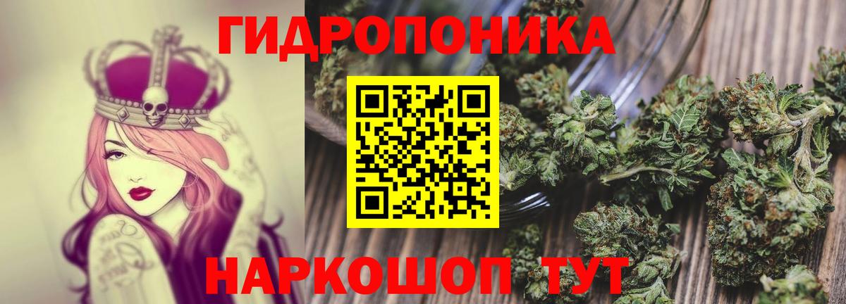 Бошки марихуана план  Вход с VPN  Самара  Шишки марихуана конопля 